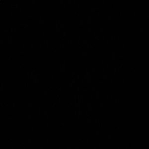 Meet your Posher, Demarcus